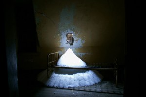 Snow bed, photo by Kate Broderick